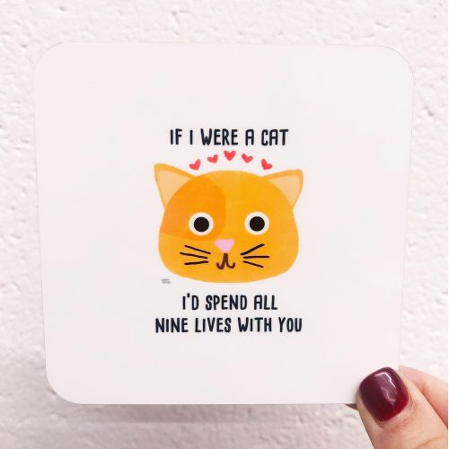 If I Were A Cat I'd Spend All Nine Lives With You - personalised beer coaster by Leeann Walker