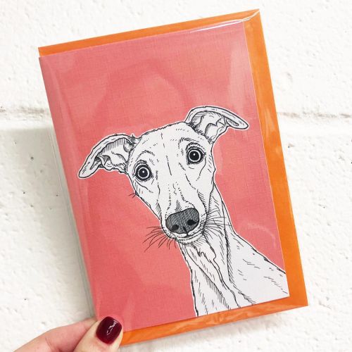 Whippet Dog Portrait ( coral background ) - funny greeting card by Adam Regester