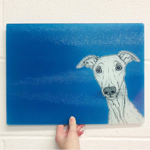 Whippet Dog Portrait ( blue background ) - glass chopping board by Adam Regester