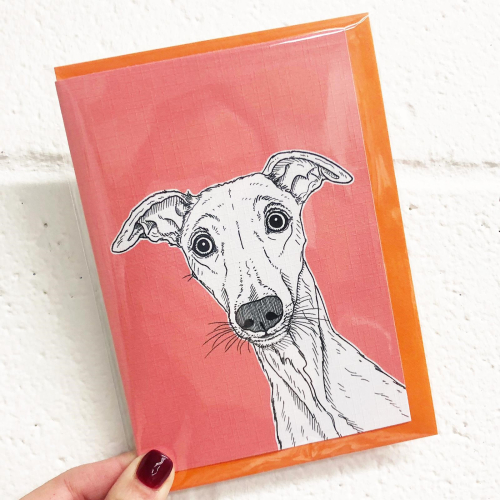 Whippet Dog Portrait ( coral background ) - funny greeting card by Adam Regester
