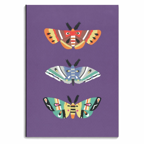 Magical Moths - personalised A4, A5, A6 notebook by Yazmin Brooks