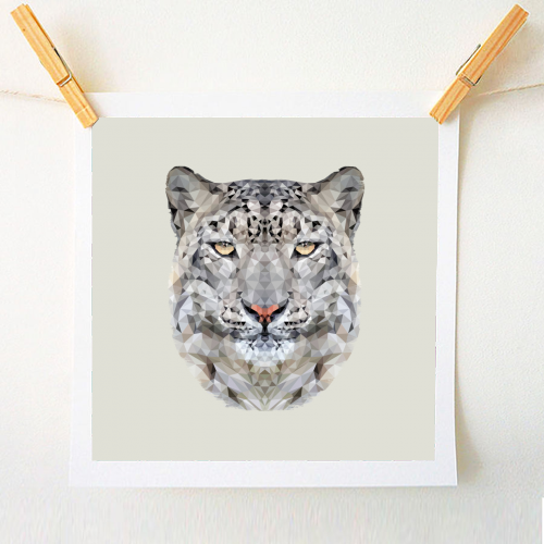 The Snow Leopard - A1 - A4 art print by petegrev