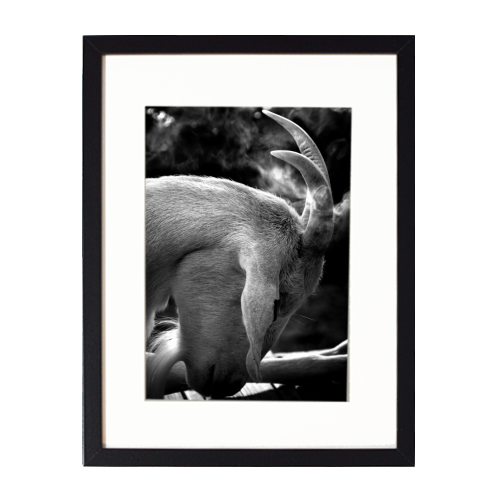 Worshippe - framed poster print by Lordt