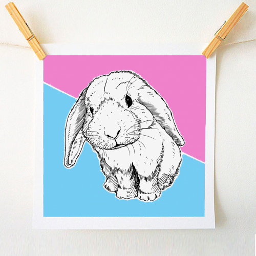 Bunny Rabbit - original print by Adam Regester