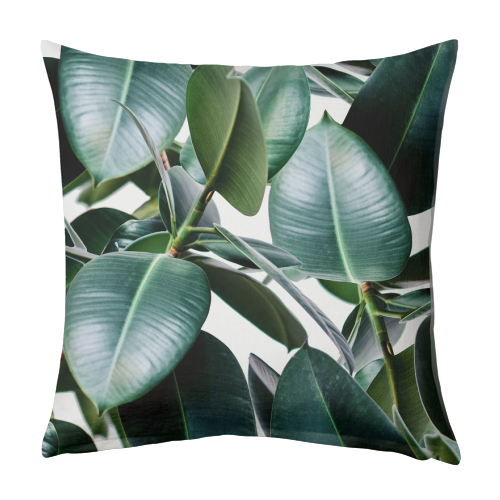 Tropical Elastica - designed cushion by Uma Prabhakar Gokhale