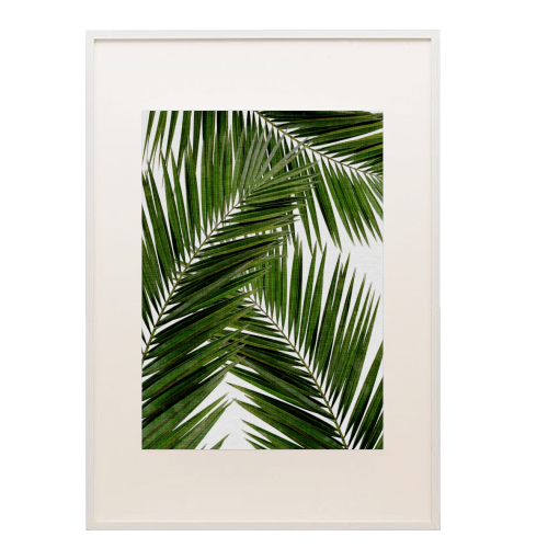 Palm Leaf III - white/black framed print by Orara Studio