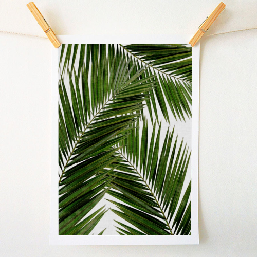 Palm Leaf III - original print by Orara Studio