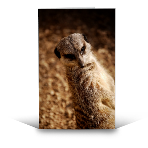 Poseur - funny greeting card by Lordt