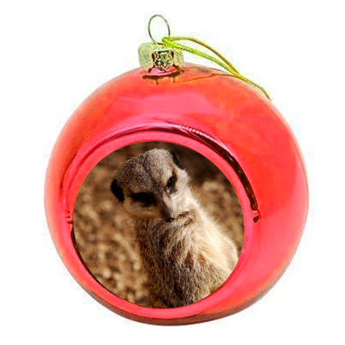 Poseur - colourful christmas bauble by Lordt