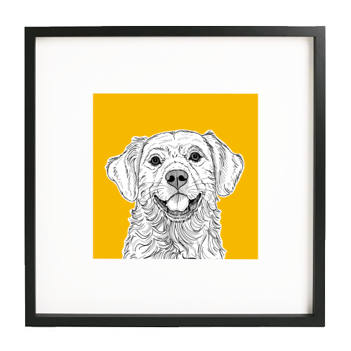 Golden Retriever ( yellow background ) - white/black framed print by Adam Regester