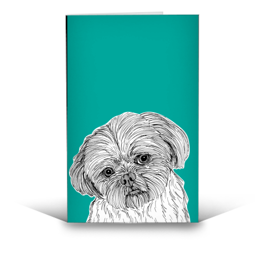 Shih Tzu Dog Portrait ( teal background ) - funny greeting card by Adam Regester
