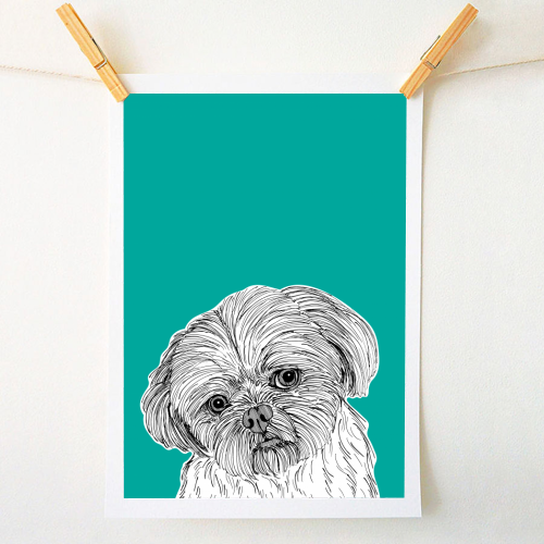 Shih Tzu Dog Portrait ( teal background ) - A1 - A4 art print by Adam Regester