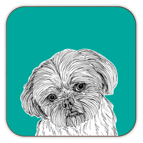 Shih Tzu Dog Portrait ( teal background ) - personalised beer coaster by Adam Regester