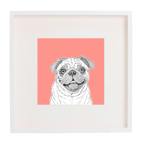 Pug Dog Portrait ( coral background ) - framed poster print by Adam Regester