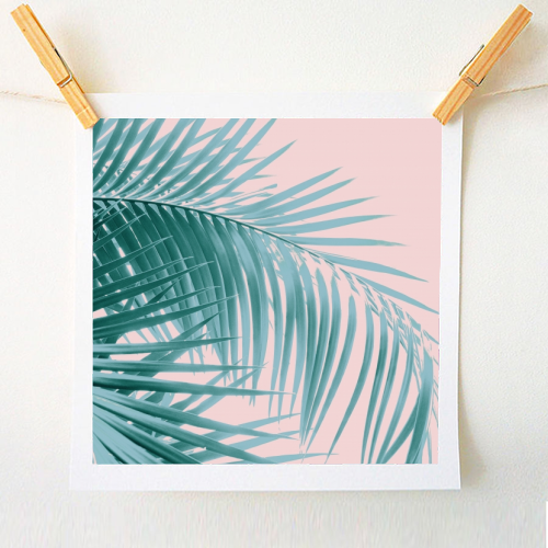 Palm Leaves Blush Summer Vibes #3 #tropical #decor #art - A1 - A4 art print by Anita Bella Jantz