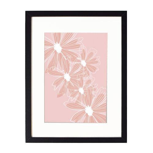 Pink and White Daisy Flowers - framed poster print by Toni Scott