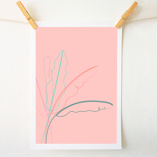 Banana Palm ( coral background ) - A1 - A4 art print by Adam Regester