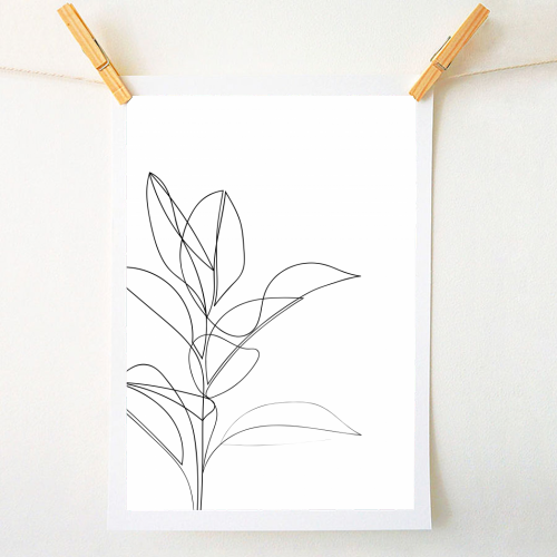 Continuous Line Rubber Plant Drawing - A1 - A4 art print by Adam Regester