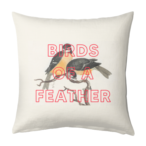 Birds Of A Feather - designed cushion by The 13 Prints