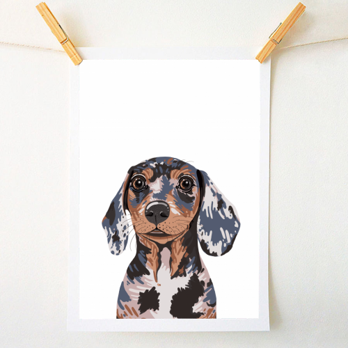 Dappled Dachshund Puppy Illustration - A1 - A4 art print by Adam Regester