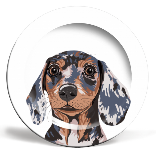 Dappled Dachshund Puppy Illustration - ceramic dinner plate by Adam Regester
