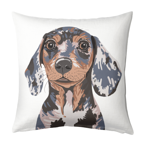 Dappled Dachshund Puppy Illustration - designed cushion by Adam Regester