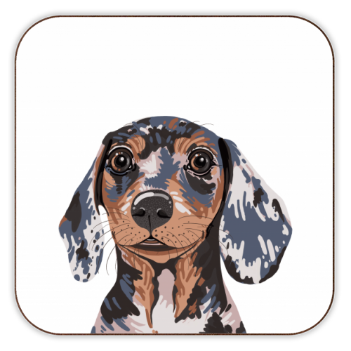Dappled Dachshund Puppy Illustration - personalised beer coaster by Adam Regester