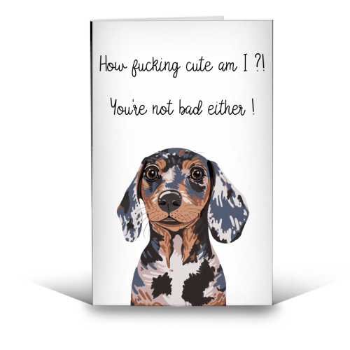 How Fucking Cute Am I ?! - funny greeting card by Adam Regester