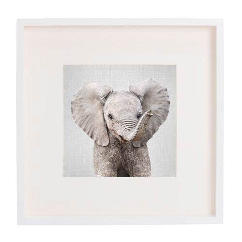 Baby Elephant - Colorful - framed poster print by Gal Design