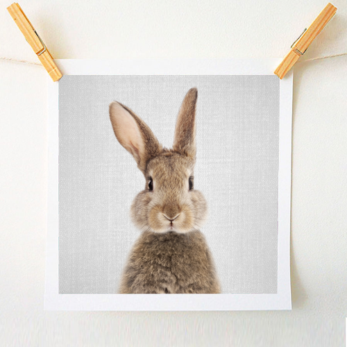 Rabbit - Colorful - A1 - A4 art print by Gal Design