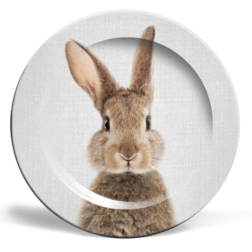 Rabbit - Colorful - ceramic dinner plate by Gal Design