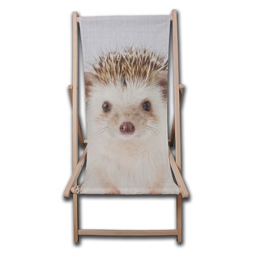 Hedgehog - Colorful - canvas deck chair by Gal Design