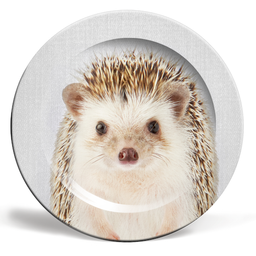 Hedgehog - Colorful - ceramic dinner plate by Gal Design
