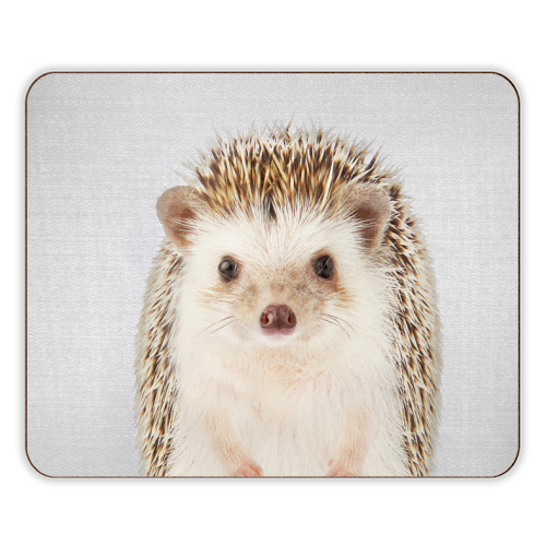 Hedgehog - Colorful - designer placemat by Gal Design