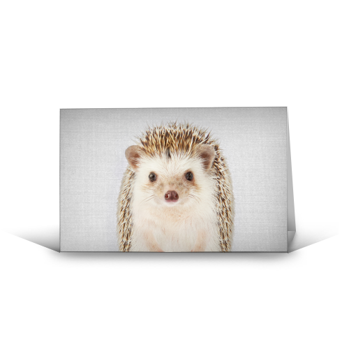 Hedgehog - Colorful - funny greeting card by Gal Design