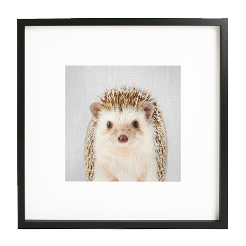 Hedgehog - Colorful - white/black framed print by Gal Design