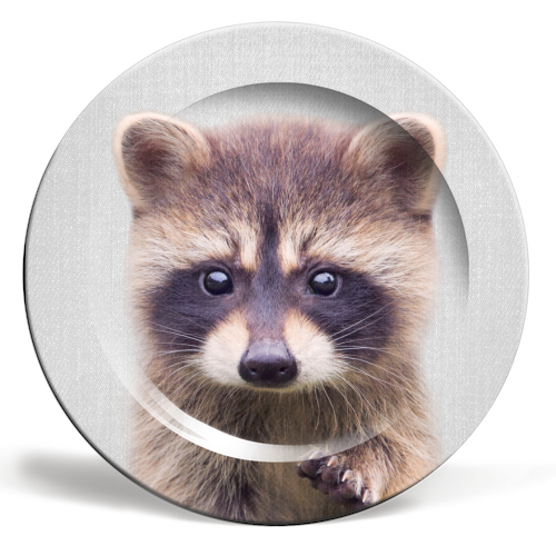 Raccoon - Colorful - ceramic dinner plate by Gal Design