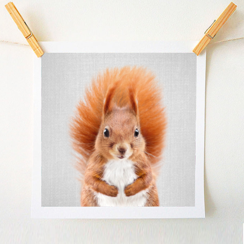 Squirrel - Colorful - A1 - A4 art print by Gal Design