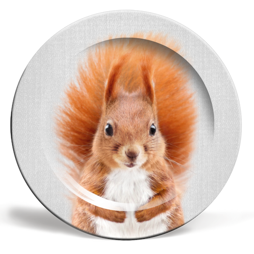 Squirrel - Colorful - ceramic dinner plate by Gal Design