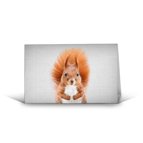 Squirrel - Colorful - funny greeting card by Gal Design