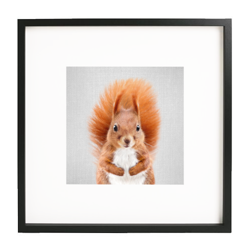 Squirrel - Colorful - white/black framed print by Gal Design