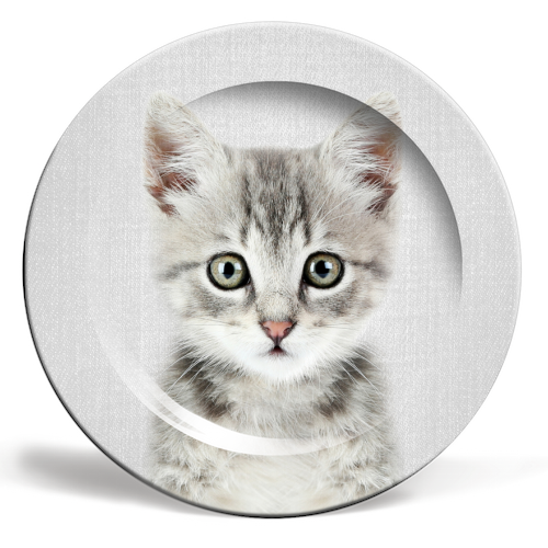 Kitten - Colorful - ceramic dinner plate by Gal Design