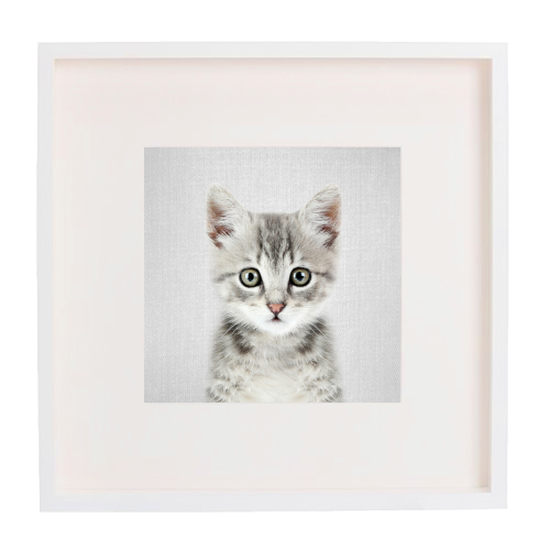 Kitten - Colorful - framed poster print by Gal Design