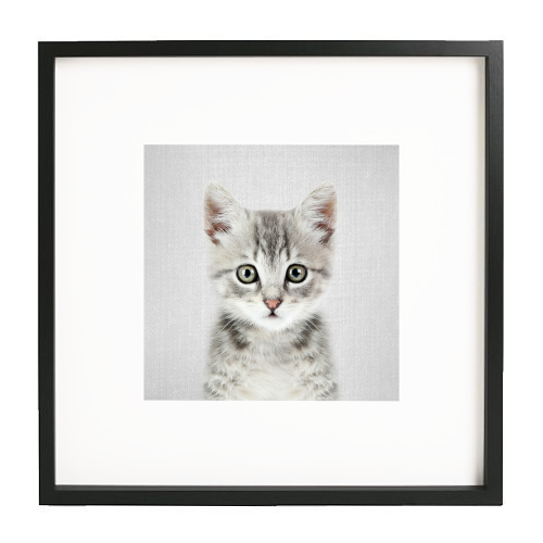 Kitten - Colorful - white/black framed print by Gal Design