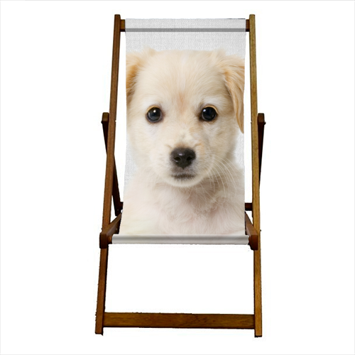 Golden Retriever Puppy - Colorful - canvas deck chair by Gal Design