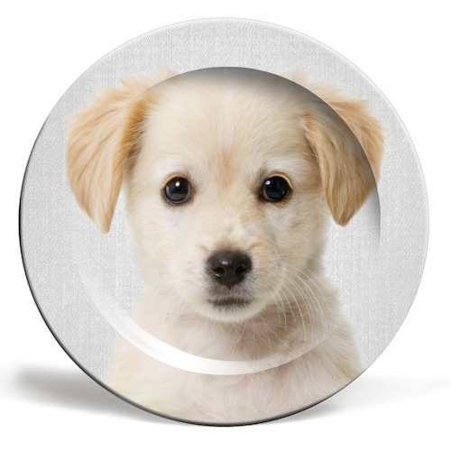 Golden Retriever Puppy - Colorful - ceramic dinner plate by Gal Design