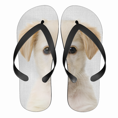 Golden Retriever Puppy - Colorful - funny flip flops by Gal Design