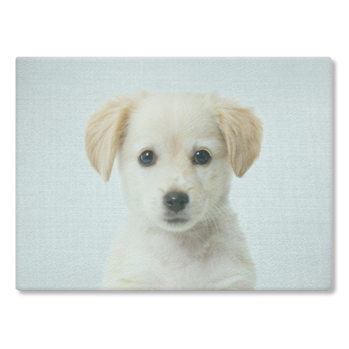 Golden Retriever Puppy - Colorful - glass chopping board by Gal Design