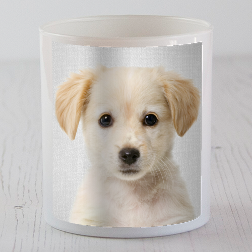 Golden Retriever Puppy - Colorful - scented candle by Gal Design