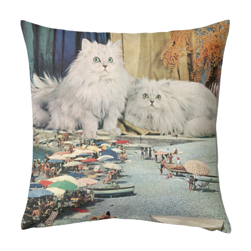 Cats beach - designed cushion by Maya Land